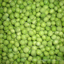 Variedade de marcas de ervilhas verdes congeladas Uma embalagem típica a granel de qualidade verde